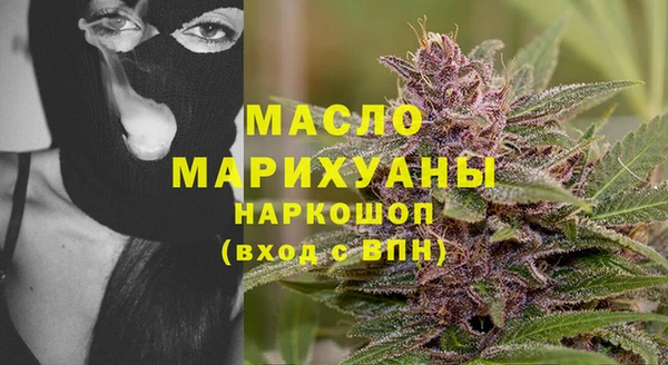 шишки Горно-Алтайск