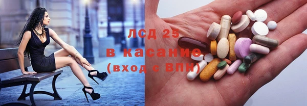 шишки Горно-Алтайск