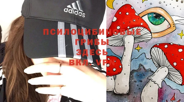 шишки Горно-Алтайск