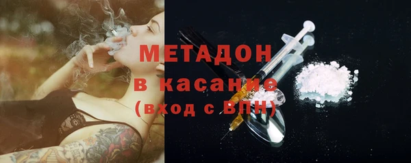 шишки Горно-Алтайск