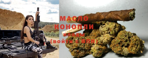 шишки Горно-Алтайск