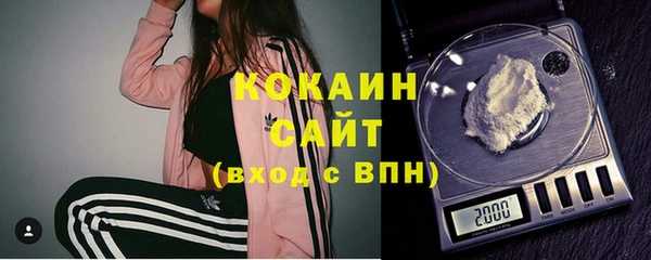 шишки Горно-Алтайск